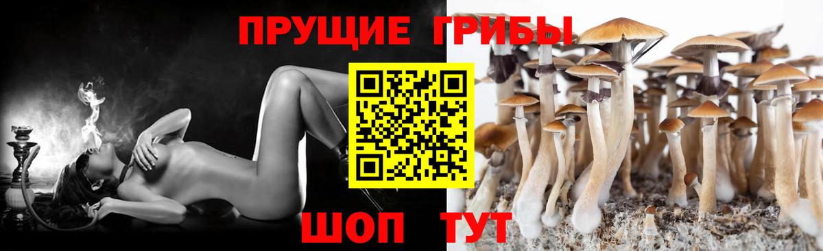 Псилоцибиновые грибы прущие грибы Астрахань